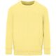 Свитшот детский Columbia Kids, светло-желтый, на рост 96-104