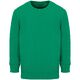 Свитшот детский Columbia Kids, ярко-зеленый, на рост 96-104