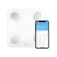 Умные диагностические весы Picooc Mini Lite White (6924917717339), белый