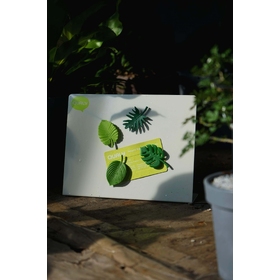 gallery-img