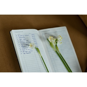 gallery-img