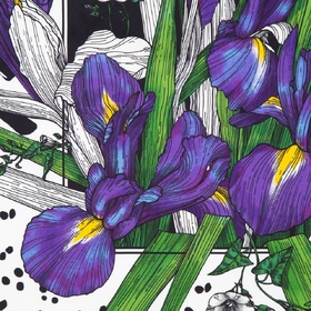 gallery-img