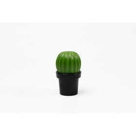 МЕЛЬНИЦА ДЛЯ СПЕЦИЙ Tasty Cactus