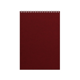 Бизнес - блокнот Альт А4 (198 х 285 мм) "Office" 60 л., бордовый