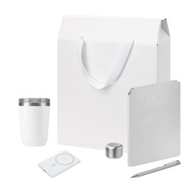 Подарочный набор Велком Пак Премиум (Welcome Pack Premium), серебряный (термокружка, колонка, ежедневник, ручка, ЗУ, коробка-пакет)