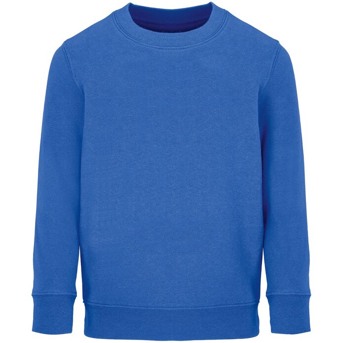 Свитшот детский Columbia Kids, ярко-синий (royal), на рост106-116