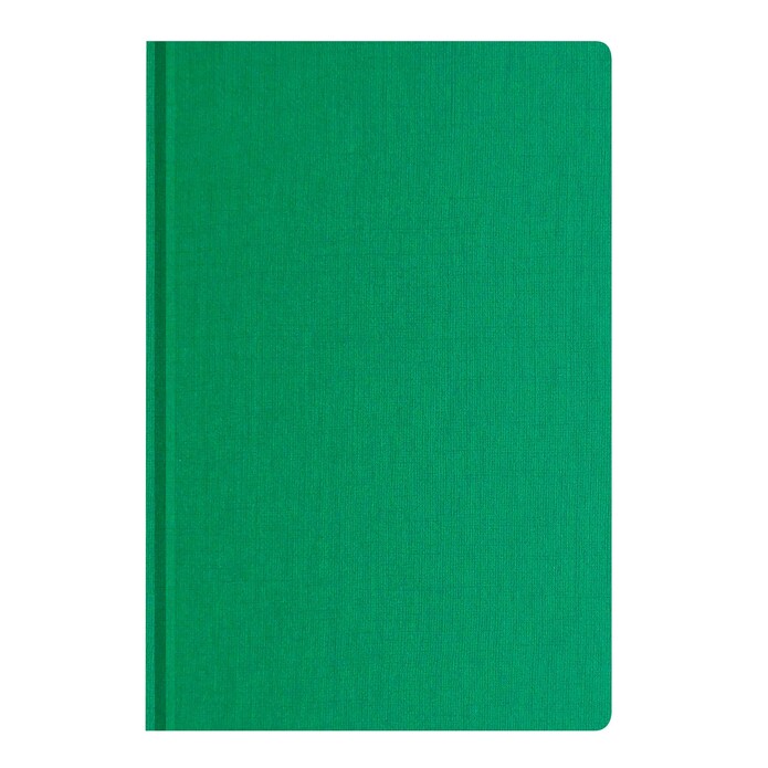 Ежедневник Caribe