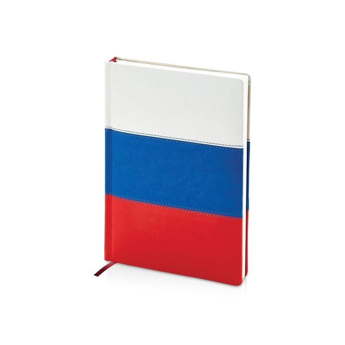 Ежедневник недатированный А5+ 
