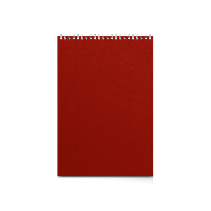 Бизнес - блокнот А4 (198 х 285 мм) 